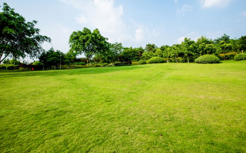 purvankara plots